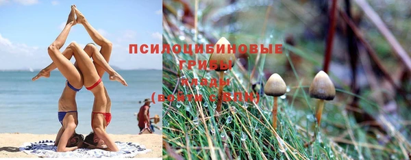 марки nbome Белокуриха